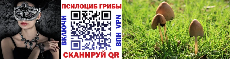 Галлюциногенные грибы мицелий  Октябрьск 